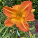 2016-005-04